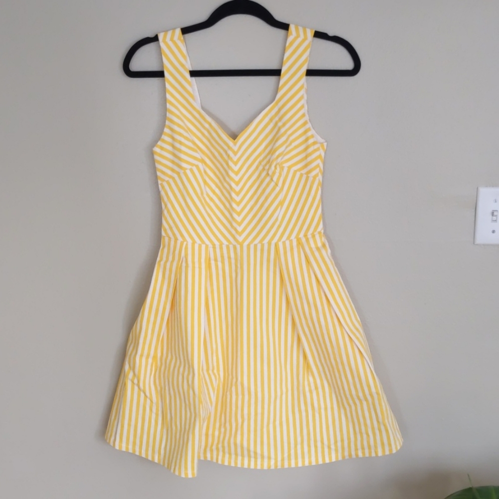 🆕 fit and flare dress NWT